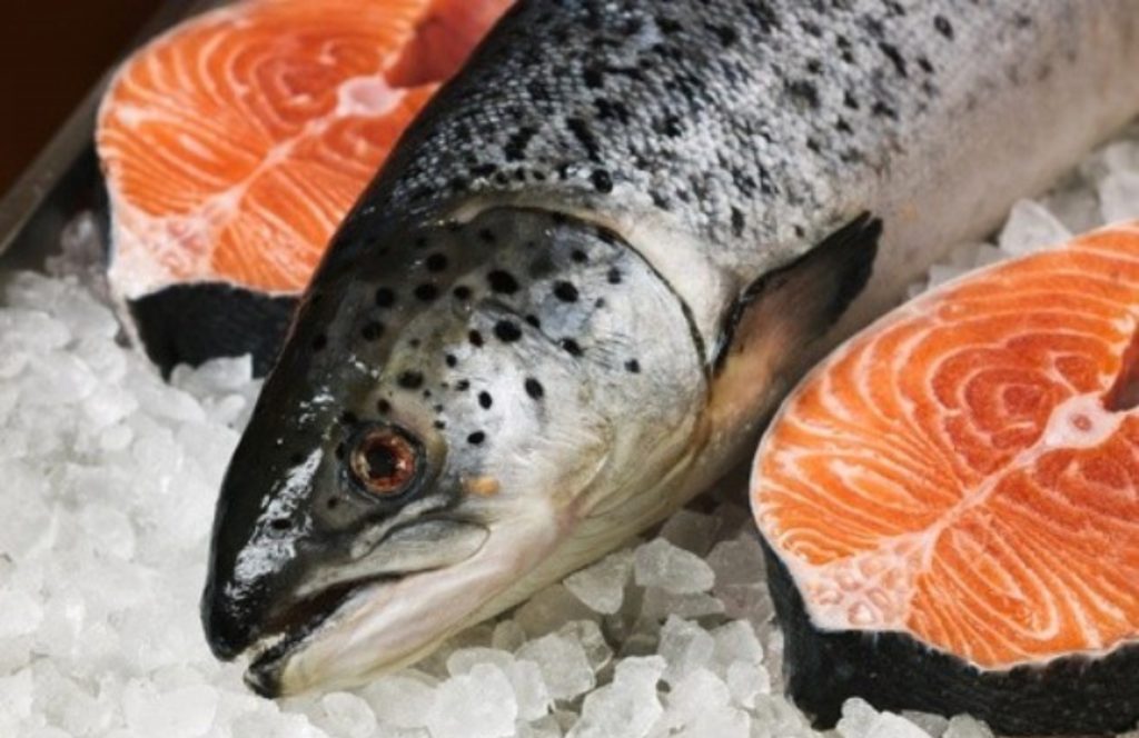 [CYD] SEO #4Top các loại cá được yêu thích trong bữa cơm của người Nhật
