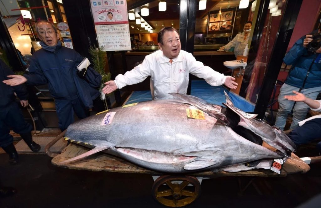 [CYD] SEO #4Top các loại cá được yêu thích trong bữa cơm của người Nhật (2)