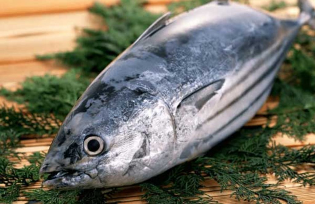 [CYD] SEO #4Top các loại cá được yêu thích trong bữa cơm của người Nhật (3)