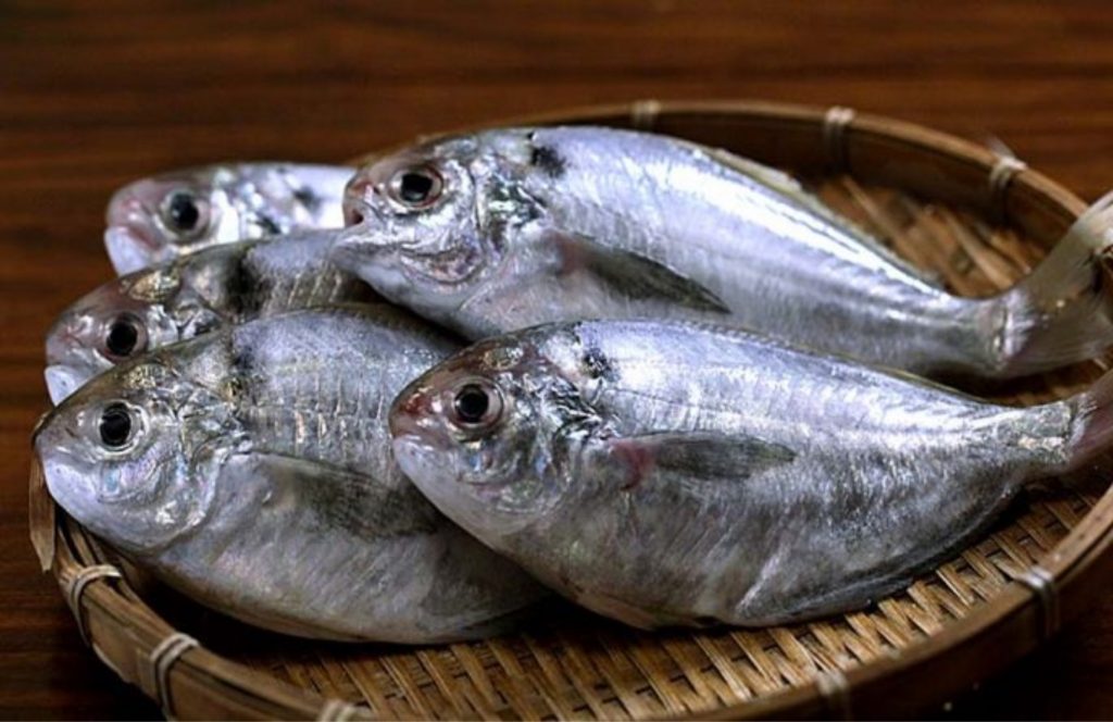 [CYD] SEO #4Top các loại cá được yêu thích trong bữa cơm của người Nhật (4)