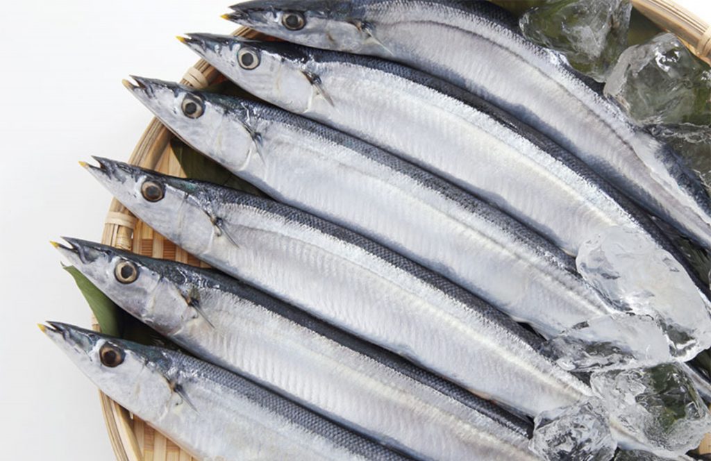 [CYD] SEO #4Top các loại cá được yêu thích trong bữa cơm của người Nhật (5)